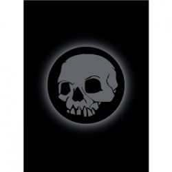 50 Protèges Cartes Legion - Matte Sleeves - Absolute Iconic - Skull