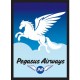 50 Protèges Cartes Legion Legion - Standard Sleeves - Pegasus Air