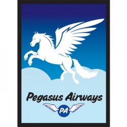 50 Protèges Cartes Legion Legion - Standard Sleeves - Pegasus Air