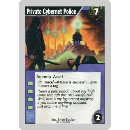 Private Cybernet Police