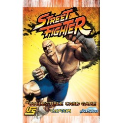 Booster Street Fighter - Universal Fighting System