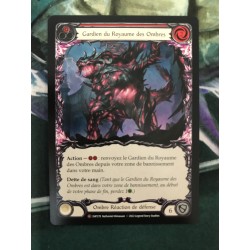 Gardien du Royaume des ombres - Guardian of the Shadowrealm - Flesh And Blood TCG